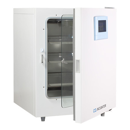 CO2培养箱二氧化碳培养箱BPN-240RWP